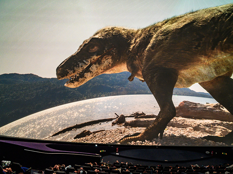 T.REX