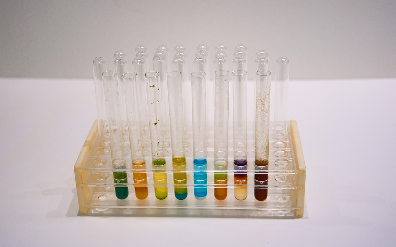From Cell to Organism (for school groups) From Cell to Organism (for school groups)