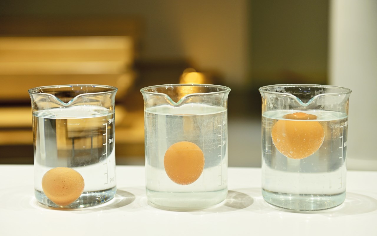 Πασχαλινό εργαστήριο: Σιγά τα αυγά | Ηλικίες: Προτείνεται για 6-11 ετών