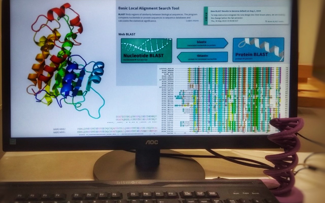 Bioinformatics (for school groups) Bioinformatics (for school groups)