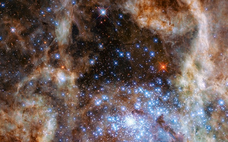 Άστρο-τέρας στο Νεφέλωμα Ταραντούλα