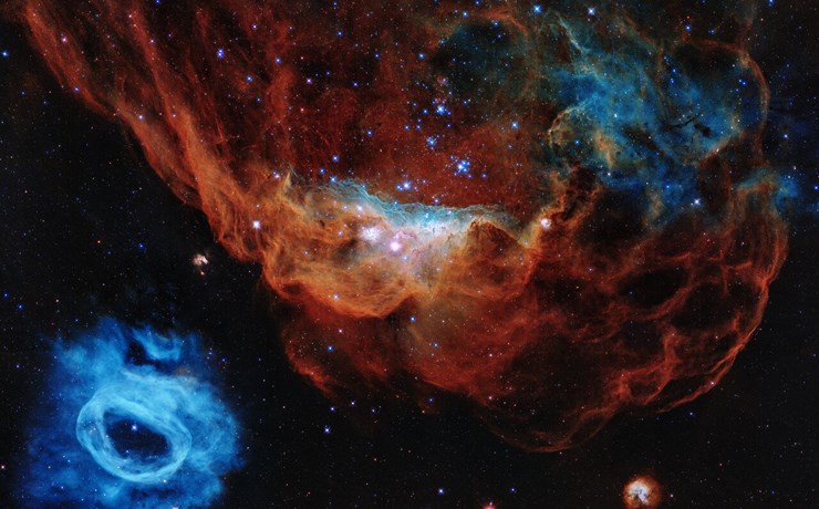 Τα νεφελώματα NGC 2014 και NGC 2020