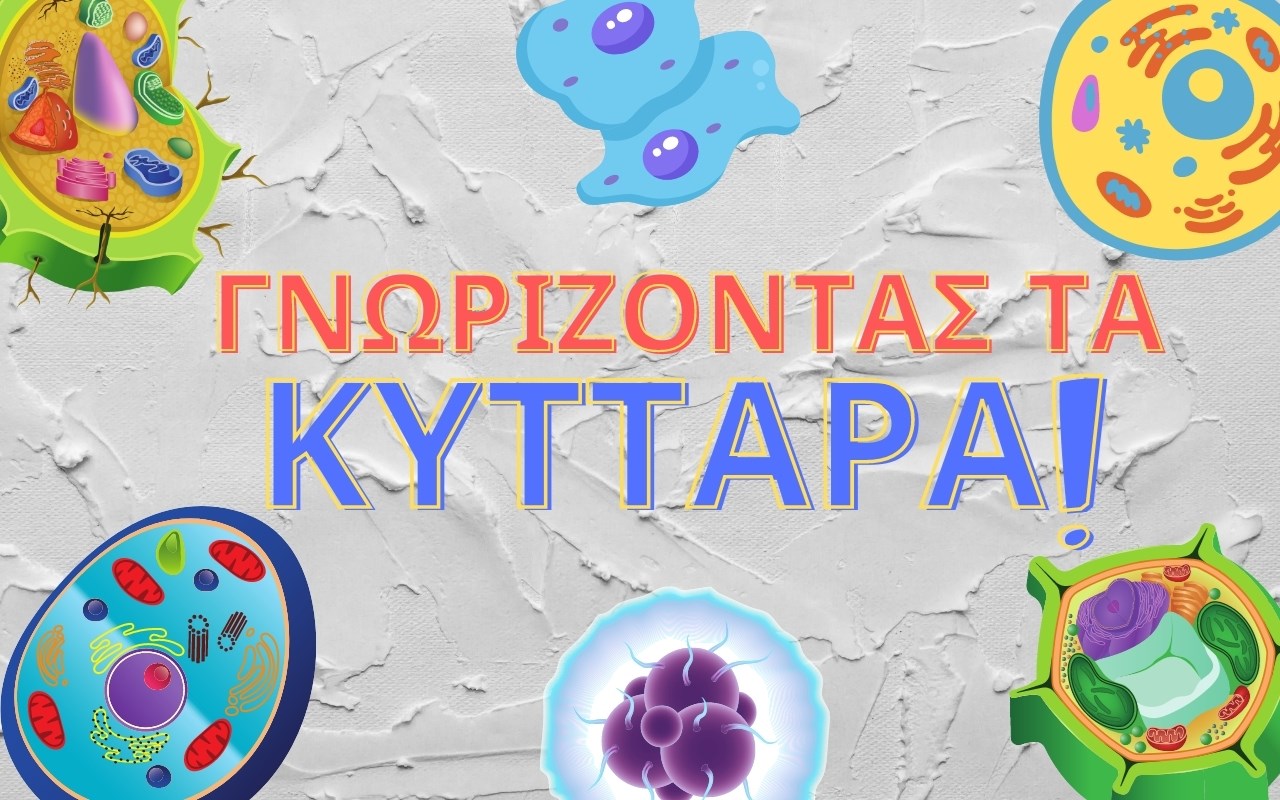 Γνωρίζοντας τα κύτταρα Γνωρίζοντας τα κύτταρα
