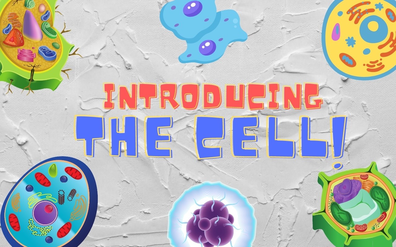 Introducing the cell