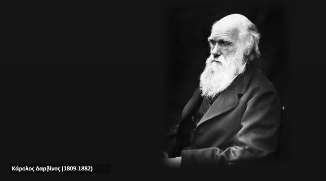 Quiz: Θεωρία της Εξέλιξης και Φυσική Επιλογή