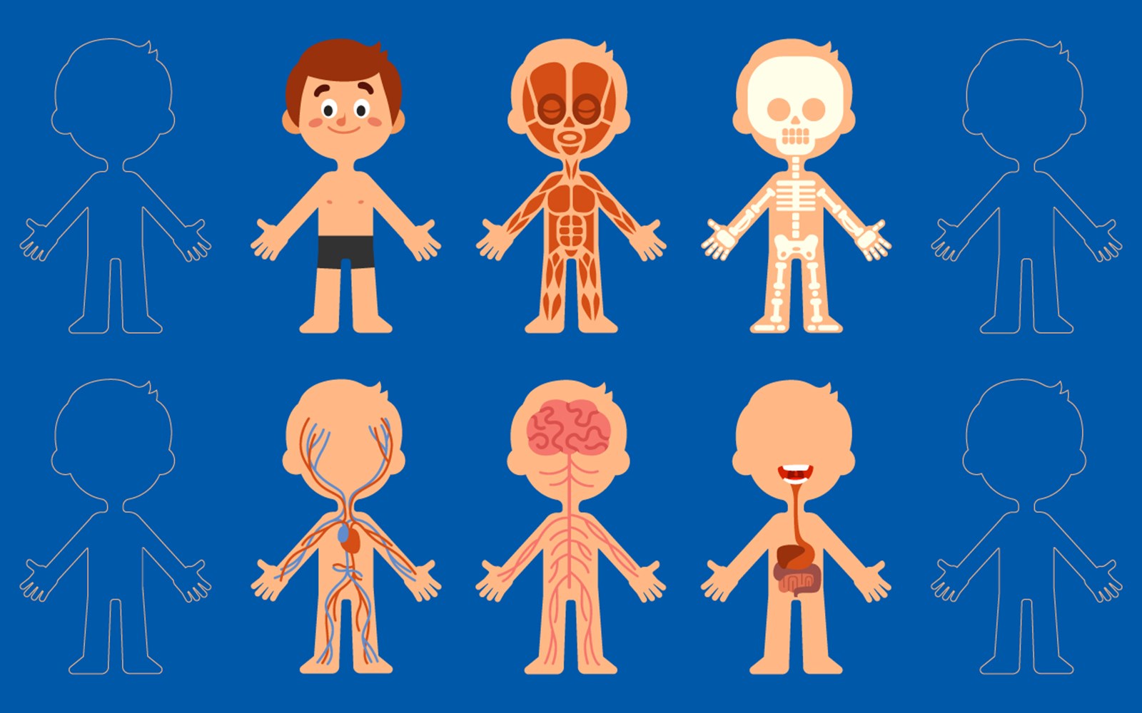 Human Body - EUGENIDES FOUNDATION