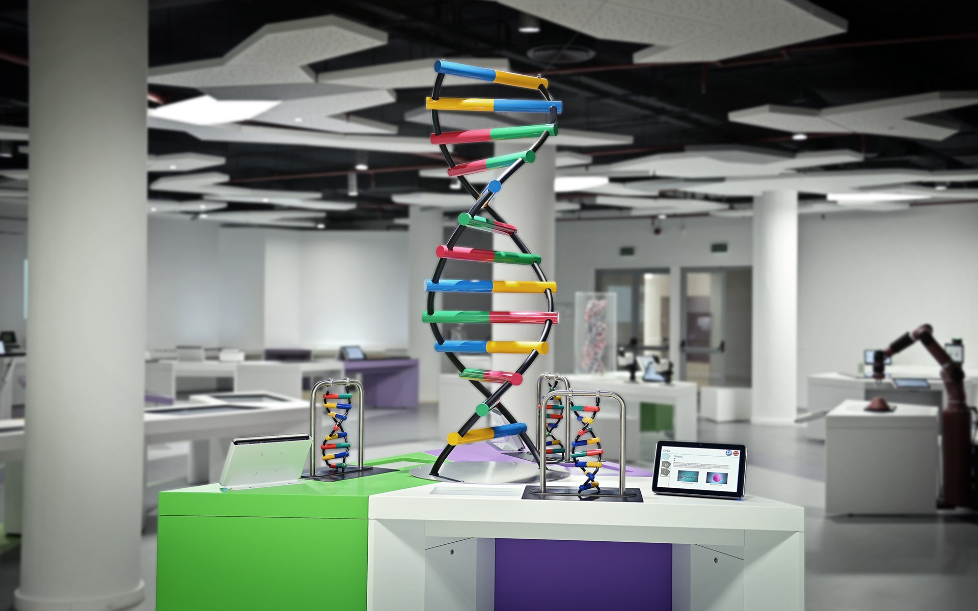  DNA