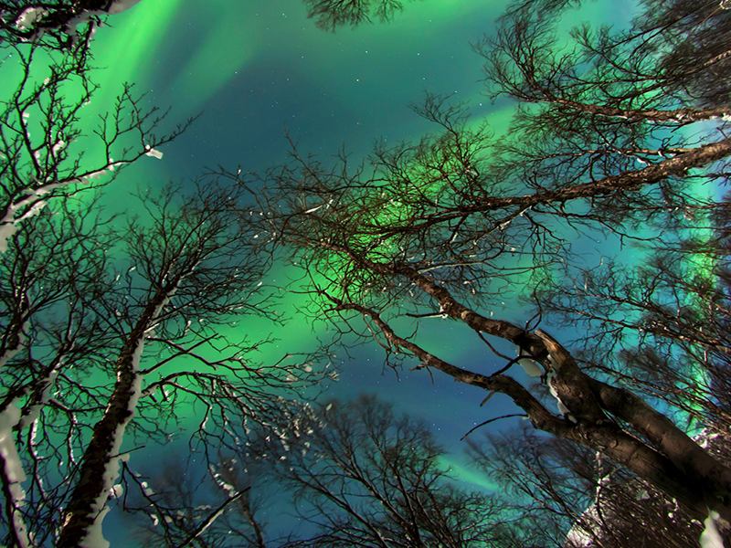 Διαστημικές Καταιγίδες και Βόρειο Σέλας